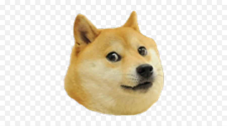 Doge Transparent Png Images - Doge Head Png Emoji,Doge Transparent