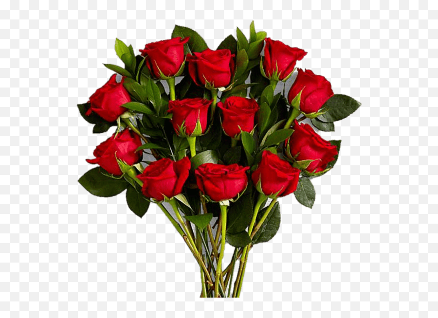 Long Stem Red Rose Bouquet Last Emoji,Roses Transparent