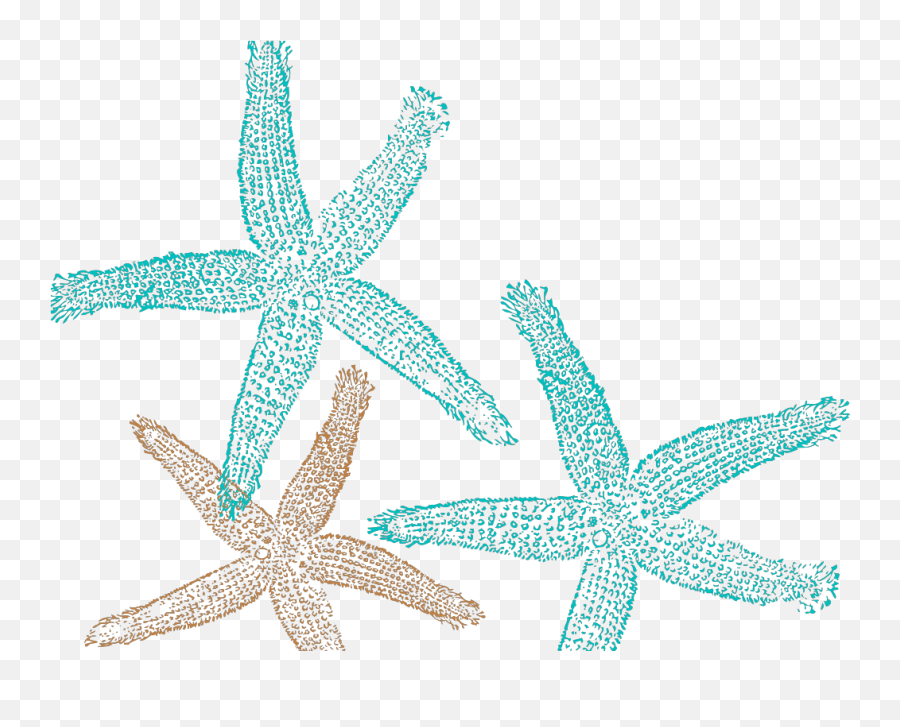 Cool Starfish Clipart Png Transparent - Fish Clip Art Emoji,Starfish Clipart