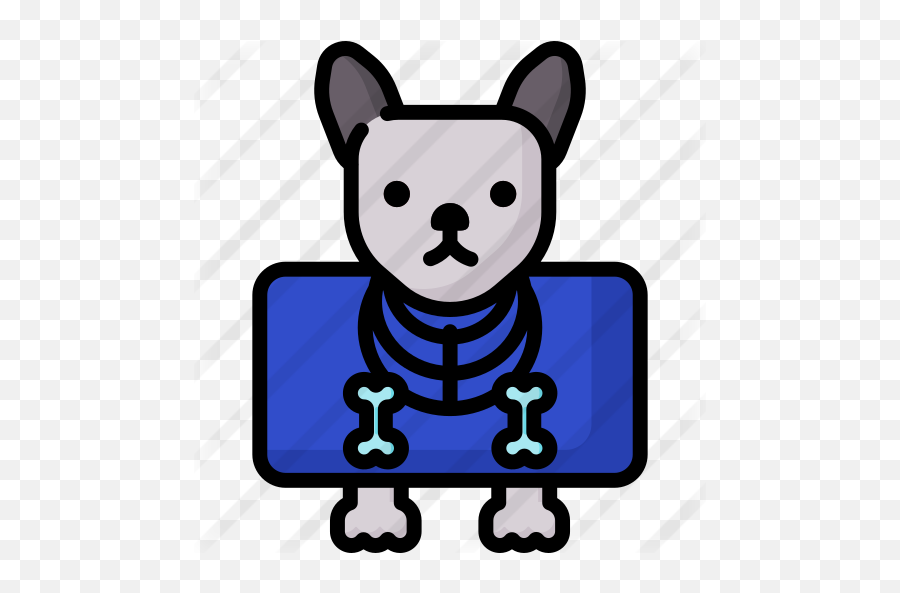X Ray - Animal X Ray Icon Emoji,Animals Png
