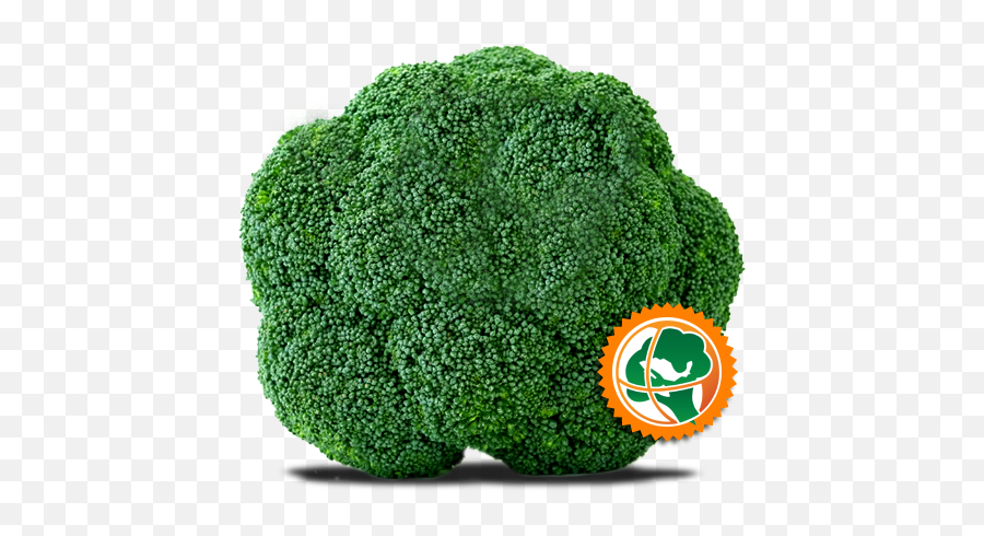 Download Hd Corona De Brocoli - Green Vegetables Broccoli Emoji,Broccoli Transparent Background