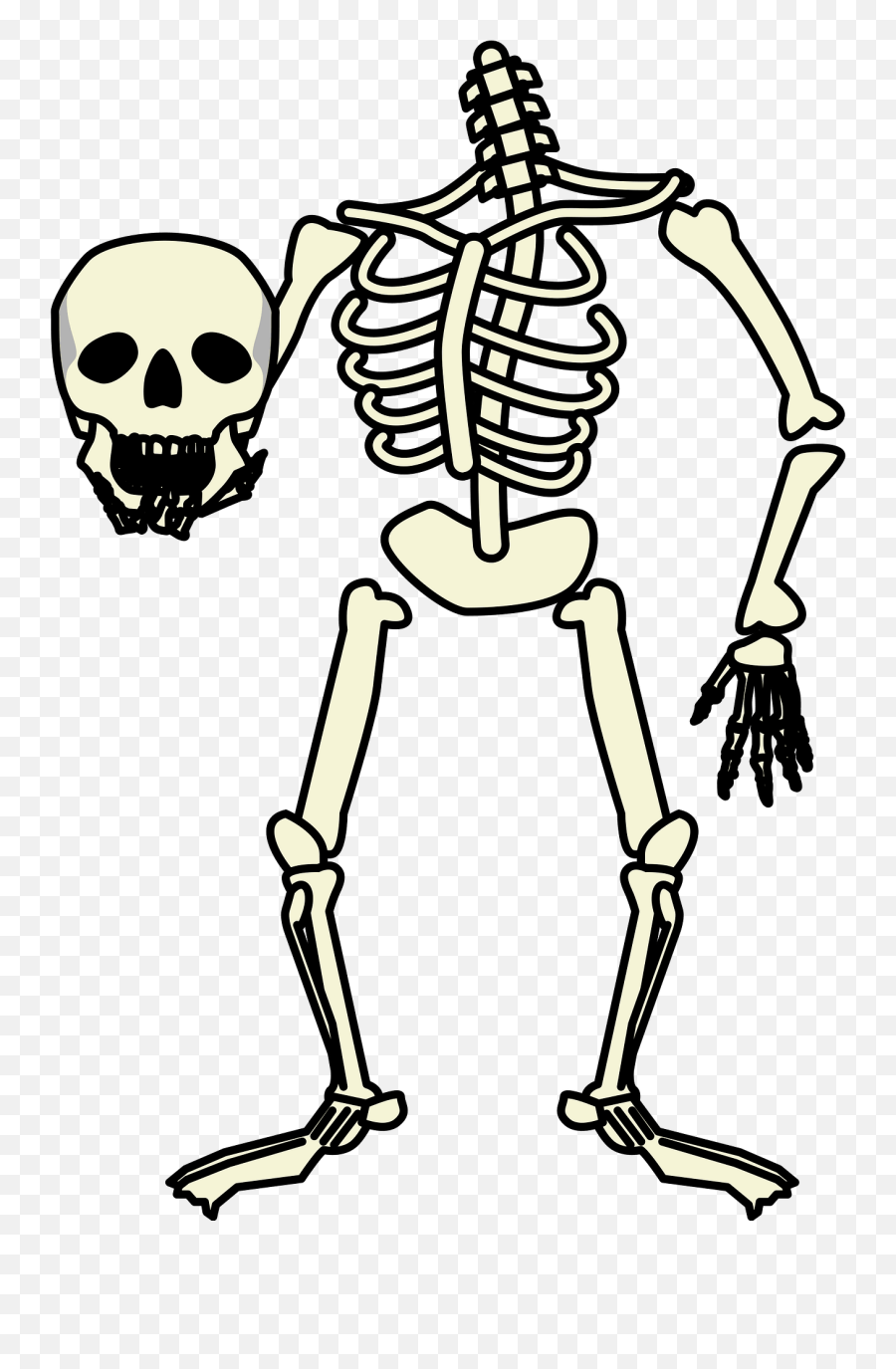 Skeleton Holding Skull Clipart Free Download Transparent - Pirate Skeleton Free Svg Emoji,Bones Clipart