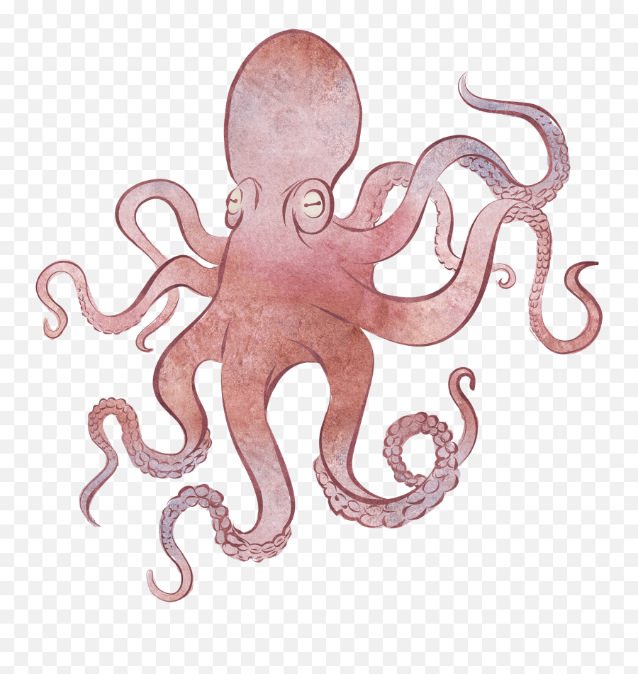 Free Download Octopus Illustration - Common Octopus Emoji,Octopus Png