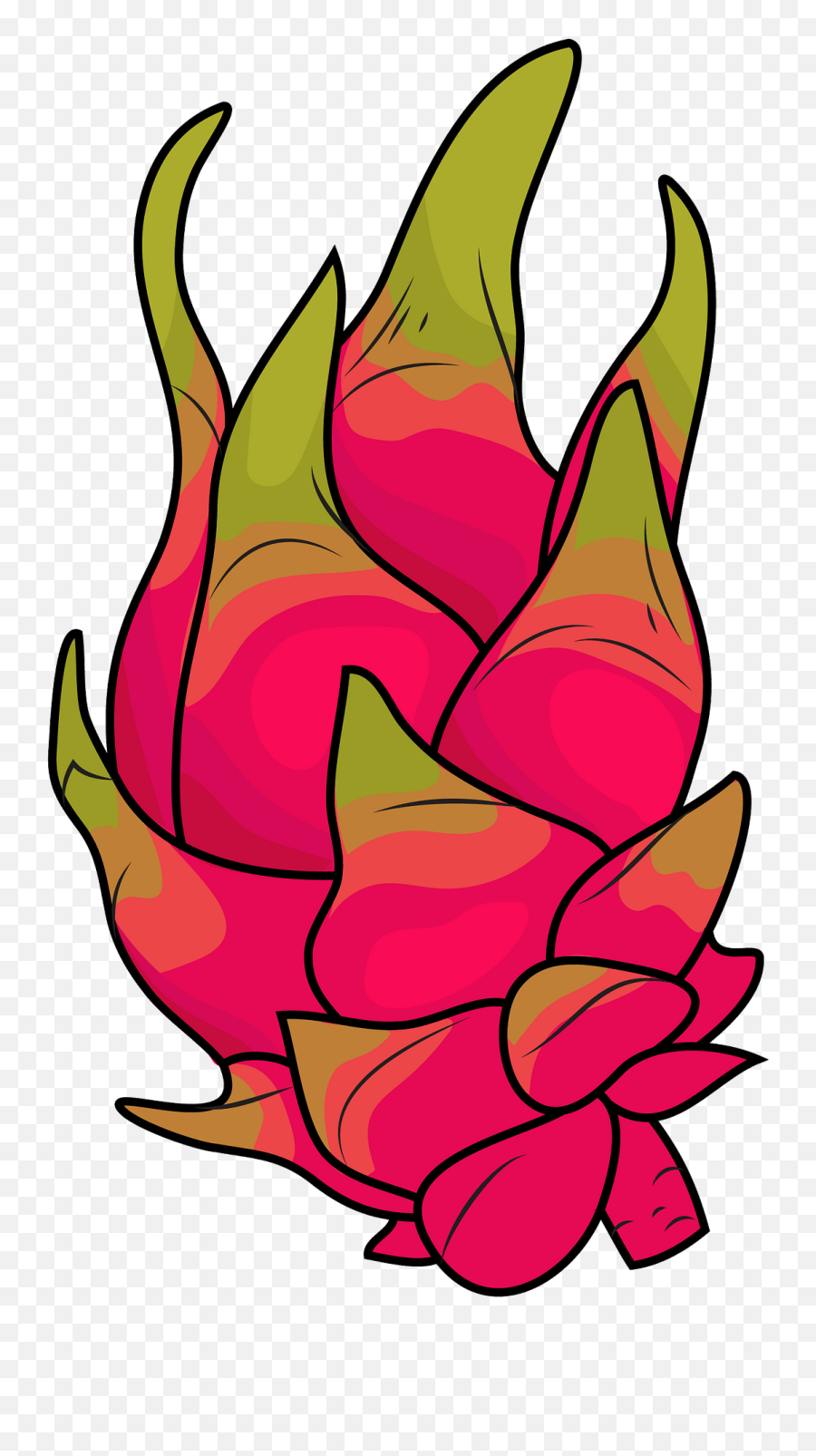 Dragon Fruit Clipart - Transparent Dragon Fruit Clipart Emoji,Fruit Clipart