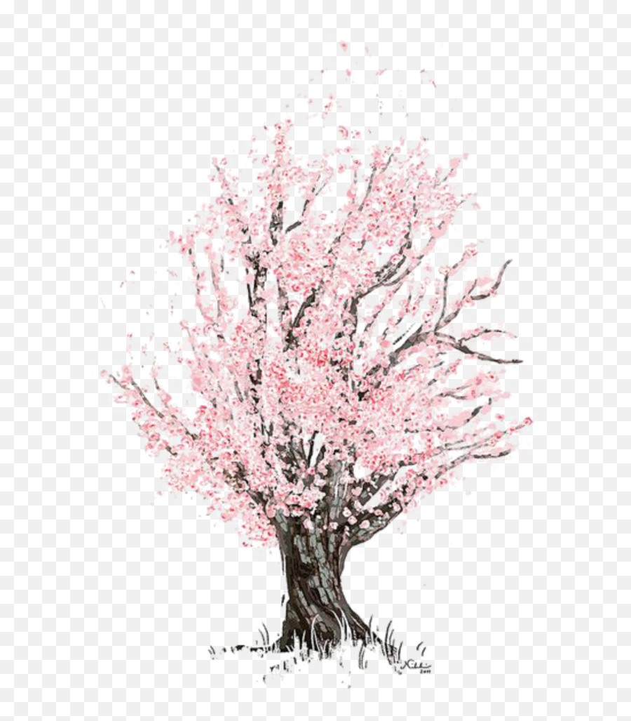 Pink Tree - Mq Pink Tree Blossom Watercolor Hd Png Download Drawing Cherry Blossom Tree Emoji,Watercolor Tree Png