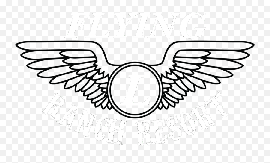 Army Aviation Enlisted Wings Hd Png - Rank Colonel Emoji,Bandera Usa Png