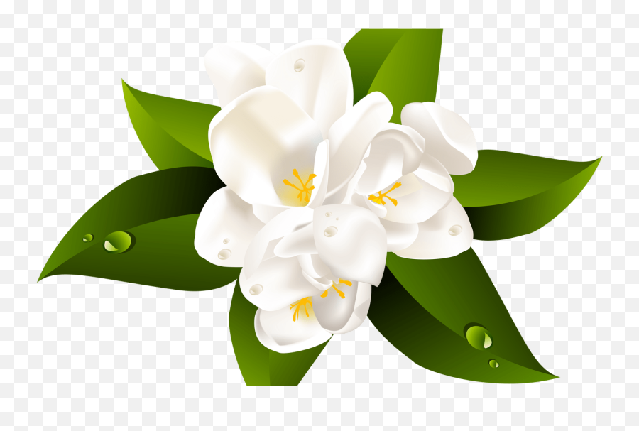Clipartxtras Transparent Background - Gardenia Emoji,Flower Transparent