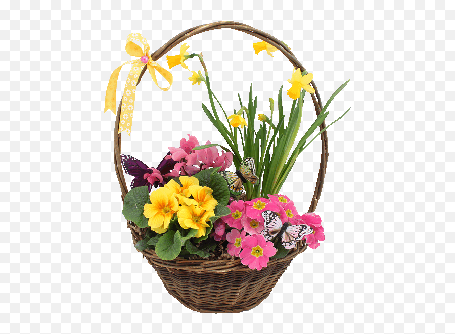 Spring Basket Of Flowers Pictures Photos And Images For - Transparent Spring Flower Basket Emoji,Tumblr Flowers Transparent