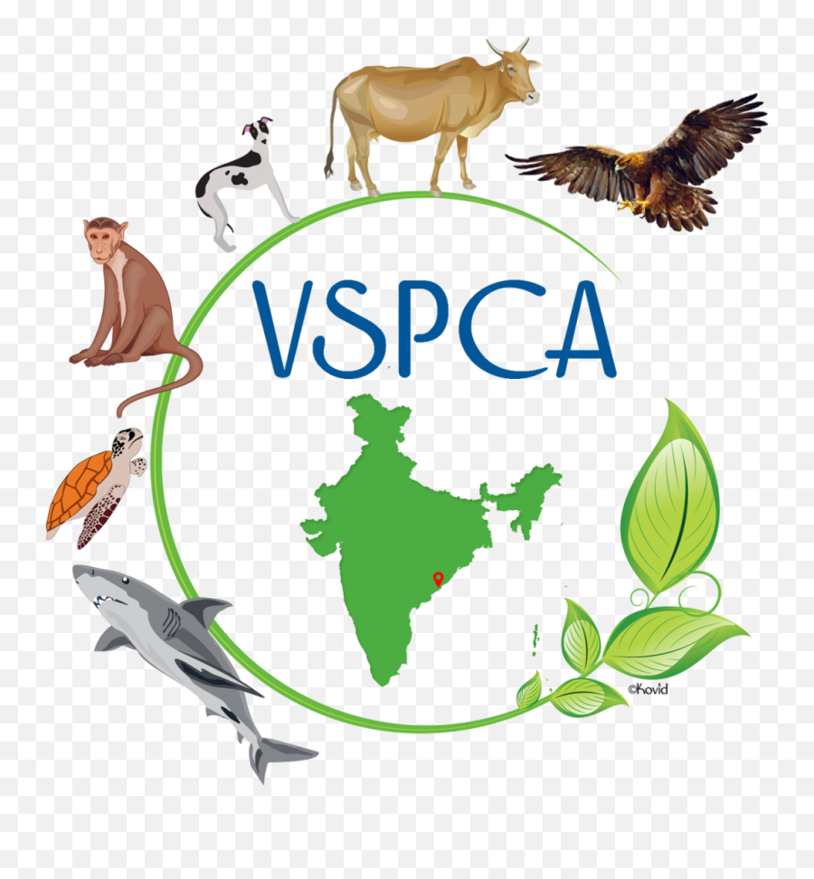 Launch Of Our New Logo U2013 Visakha Spca India Inc - India Map Logo Emoji,Launch Logo