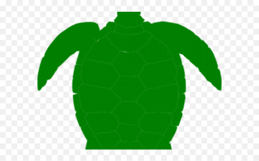 Download Sea Turtle Clipart Pond Turtle - Turtle Full Size Loggerhead Sea Turtle Emoji,Turtle Clipart