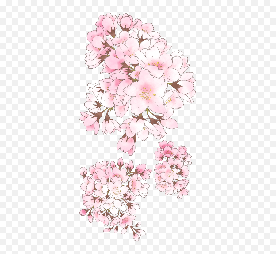 Pin On Hoa V - Anime Cherry Blossom Drawing Emoji,Cherry Blossom Clipart