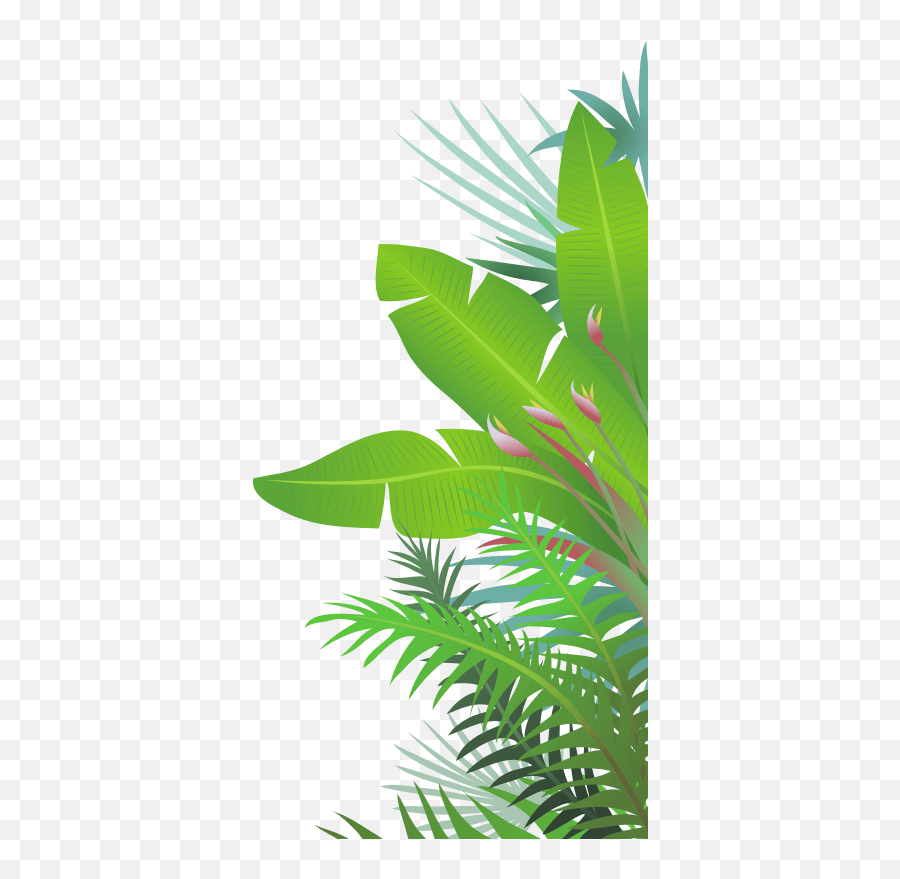 Jungle Leaves - Jungle Leaf Png Emoji,Jungle Leaves Png