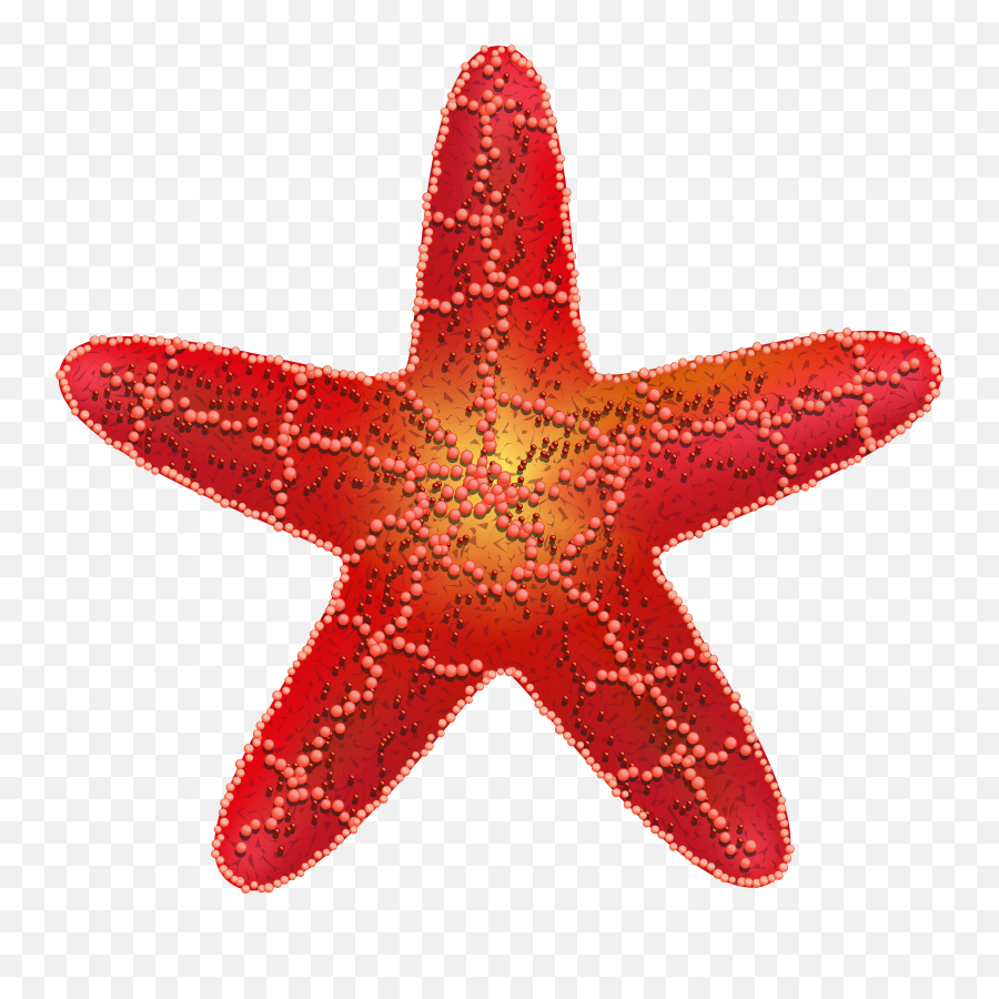 Starfish Png - Sea Star Red Png Emoji,Star Fish Png