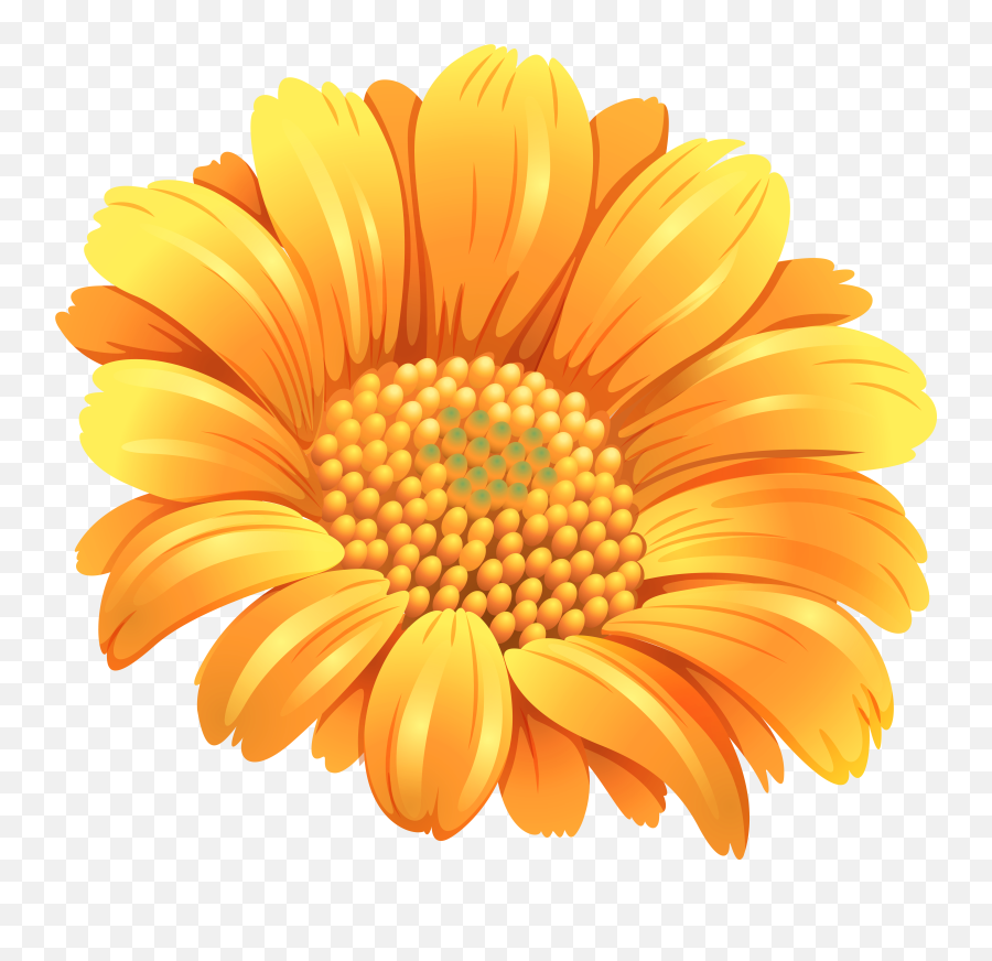 Flower Emoji,Orange Flowers Png