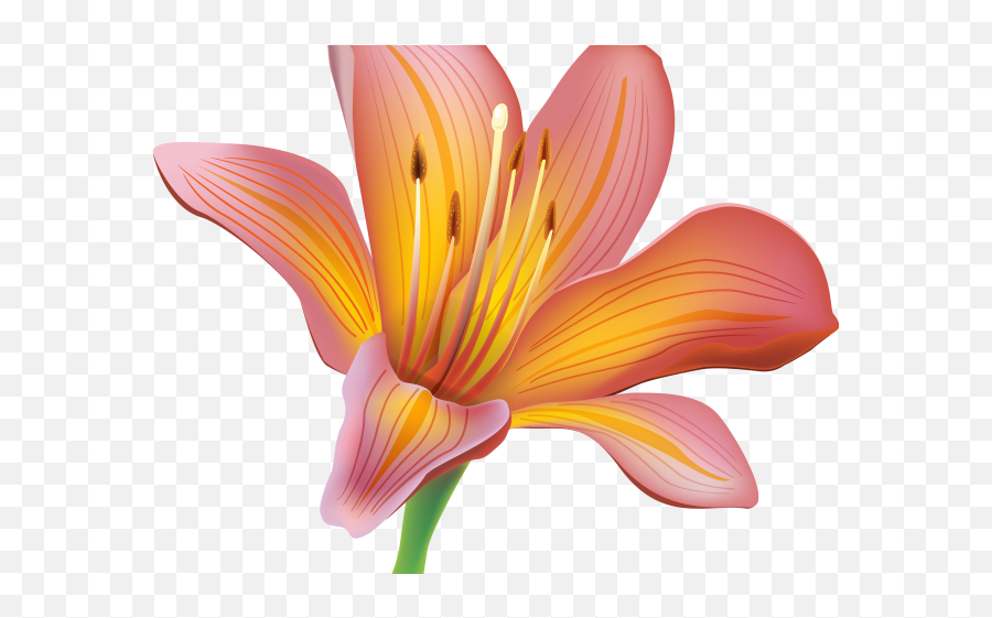 Free Easter Lily Clipart Emoji,Easter Flowers Clipart