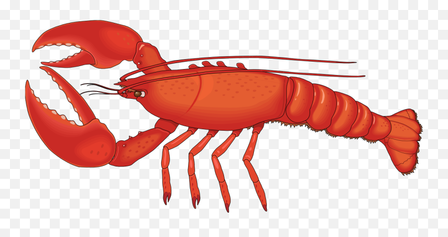 Lobster Clip Art Images - Lobster Clipart Emoji,Lobster Clipart
