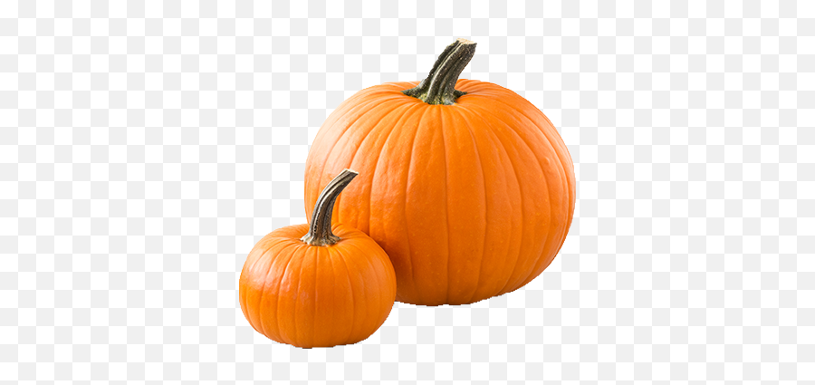 Pumpkin Transparent Png Halloween - Pumpkins Png Transparent Emoji,Pumpkin Transparent