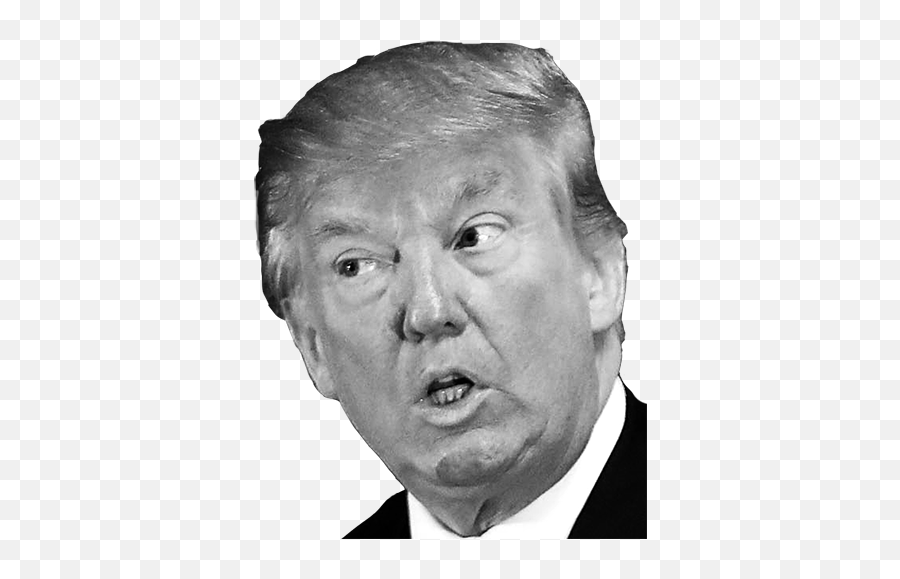 Election Day Bingo - White Donald Trump Png Emoji,Trump Face Png