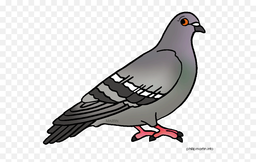 Pigeon Clip Art Free Free Clipart - Look At The Picture Below The Lion Emoji,Pigeon Clipart