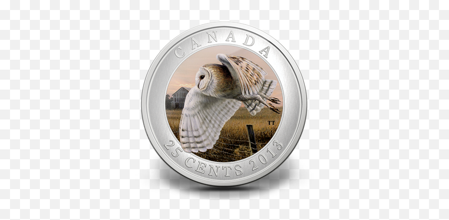 Download 2013 25 Cent Coin - Barn Owl Png Image With No Emoji,Ovo Owl Png