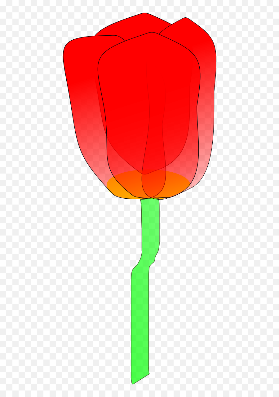 Tulip Clipart By Machovka - Orange Tulip Clip Art Full Clip Art Emoji,Tulip Clipart