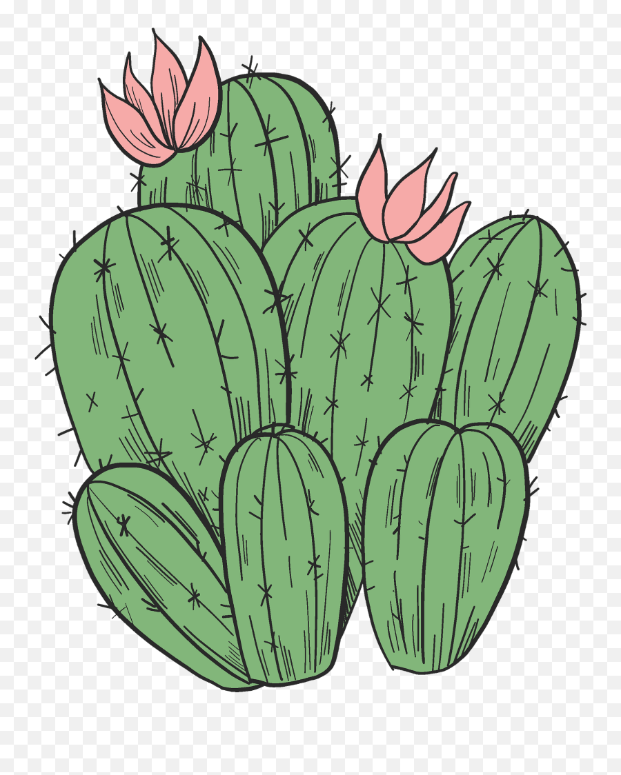 Blooming Cactus Clipart - Water Lilies Emoji,Cactus Clipart