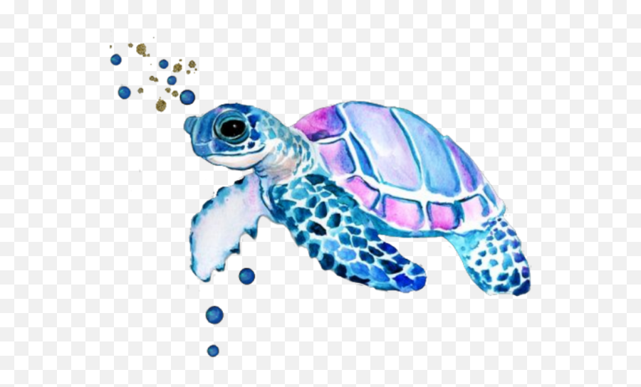 Turtle Sticker - Easy Watercolor Painting Jellyfish Emoji,Sea Turtle Clipart