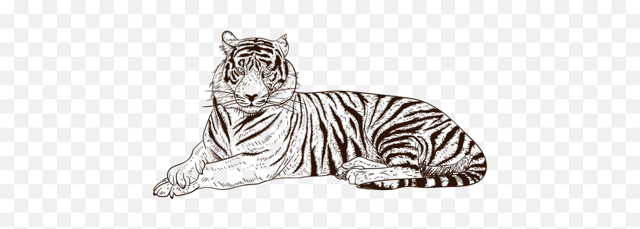 Transparent Png Svg Vector File - Tigre Dibujado A Mano Emoji,Tiger Transparent Background