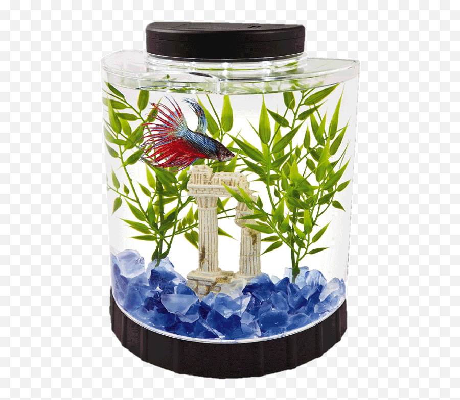 Aquarium Fish Tank Png Pic Png Mart Emoji,Tank Transparent Background