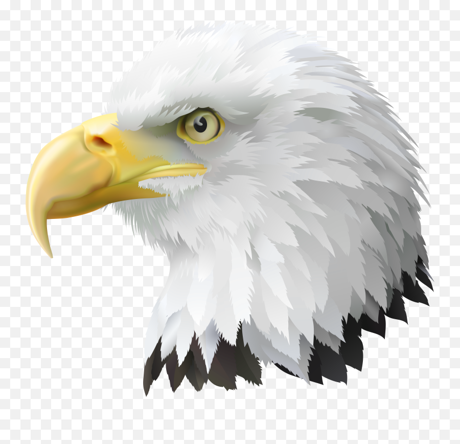 American Eagle Head Transparent Png - Bald Eagle Picture Transparent Emoji,Bald Eagle Clipart