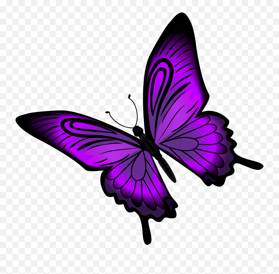 Purple Butterfly Png Clip Art Png Emoji,Butterfly Clipart