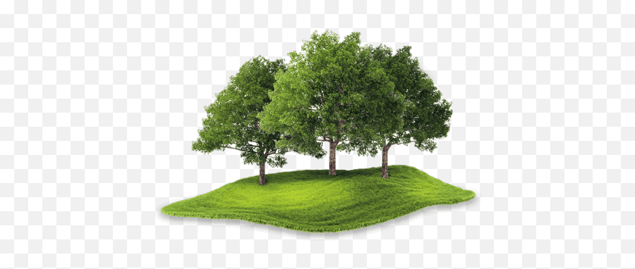 Landscaping Services - Annapolismd Garcia Lawn Grassland Emoji,Landscape Png