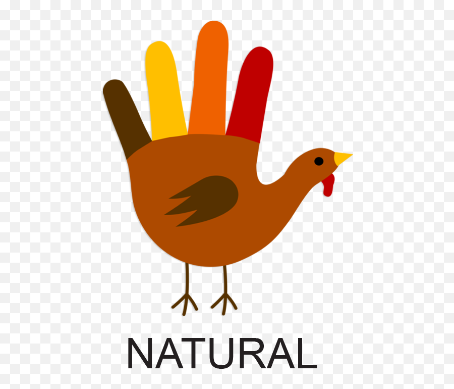 Library Of Grocery Store Turkey Banner Transparent Stock Png - Handprint Turkey Png Emoji,Grocery Store Clipart