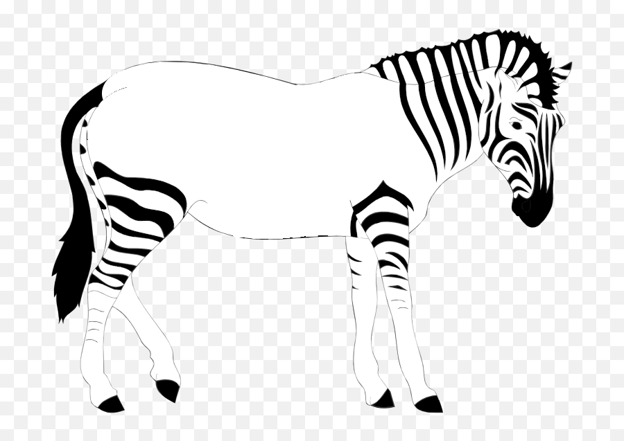 Print Out The Zebra - Realistic Zebra Clipart 752x556 Emoji,Zebras Clipart