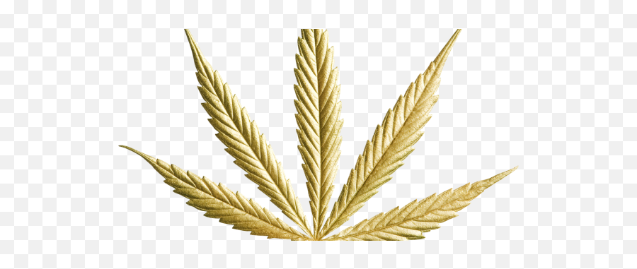 6 - Transparent Gold Weed Logo Emoji,Weed Leaf Png