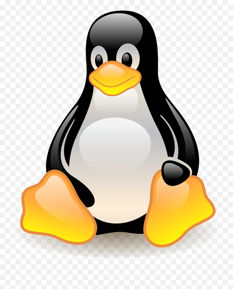 Linux Penguin No Background Clipart - Linux Logo Png Hd Emoji,Clipart Penquin