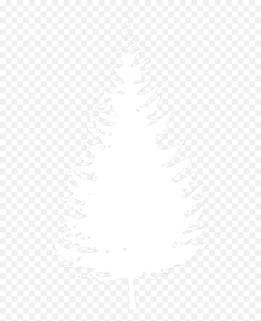 White Tree Silhouette Png Png Image - Lawn Care Emoji,Pine Tree Silhouette Png