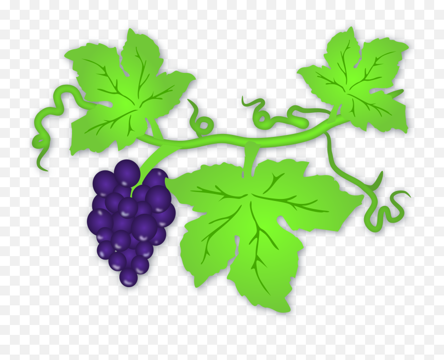 Grape Vine Clipart Free - Clip Art Grapes Leaf Emoji,Vine Clipart