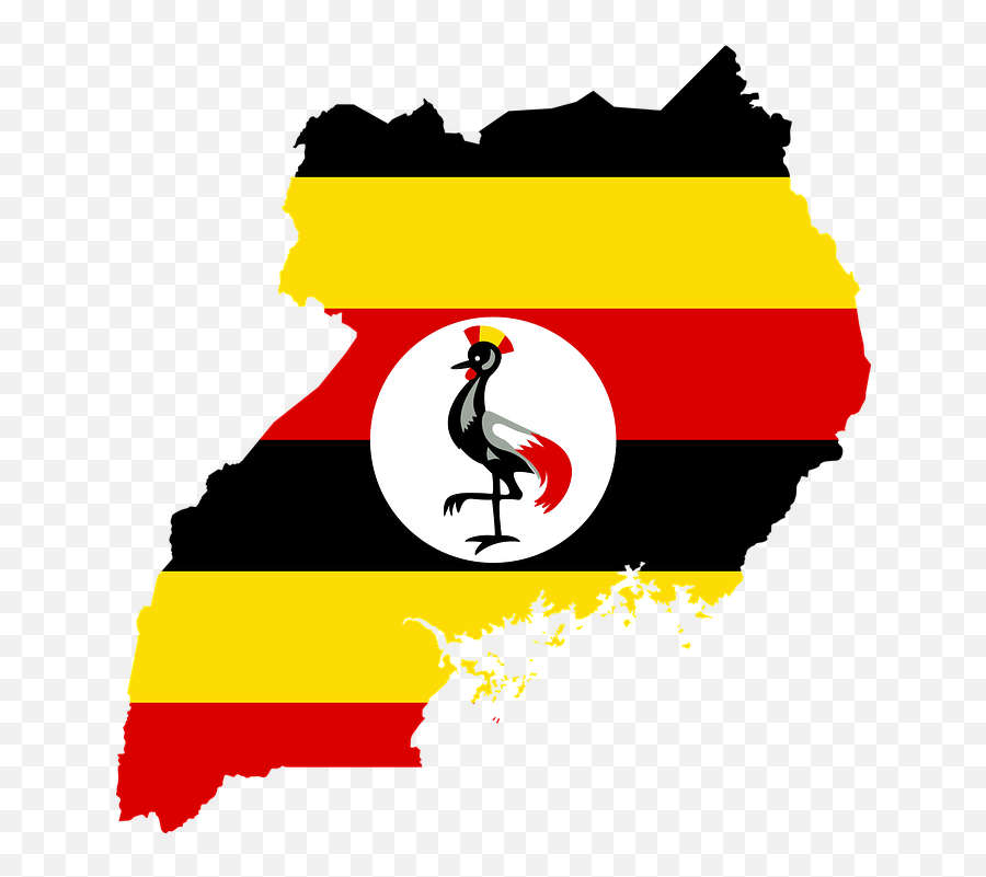 Training In Medication Safety The Drug Rounds Game The - Uganda Flag Map Emoji,Pharmacists Clipart