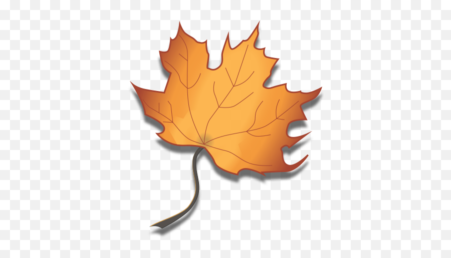 Syrup - Labelshompagemapleleafgraphic Maple Syrup Labels Maple Syrup Logo Ideas Emoji,Maple Leaf Logo