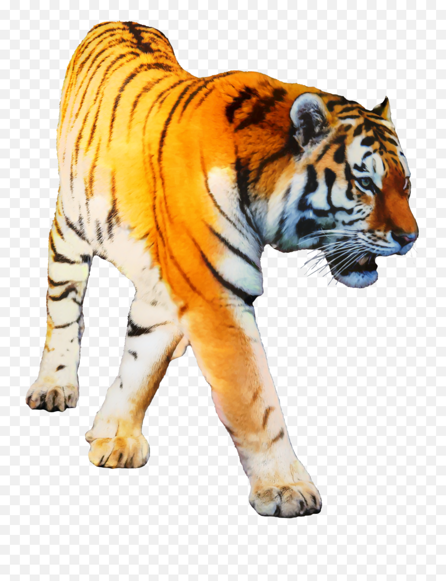 Free Transparent Tiger Png Download - Tony The Tiger Png Or Transparent Emoji,Tiger Transparent Background