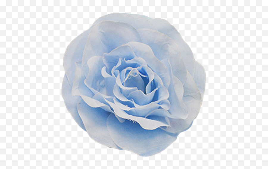 Light Blue Flower Png Picture Emoji,Blue Flowers Png