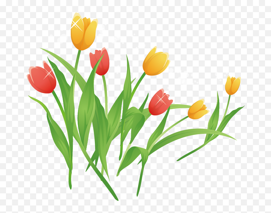 Tulip Cartoon Clip Art - Tulip Cartoon Transparent Cartoon Cartoon Tulips Png Clipart Emoji,Tulip Clipart