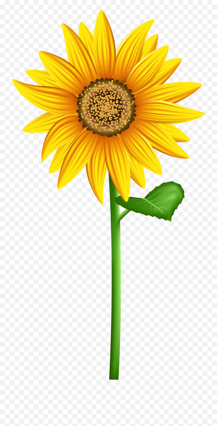 Sunflower - Transparent Background Clip Art Sun Flower Hd Sunflower Clip Art Emoji,Sun Transparent Background