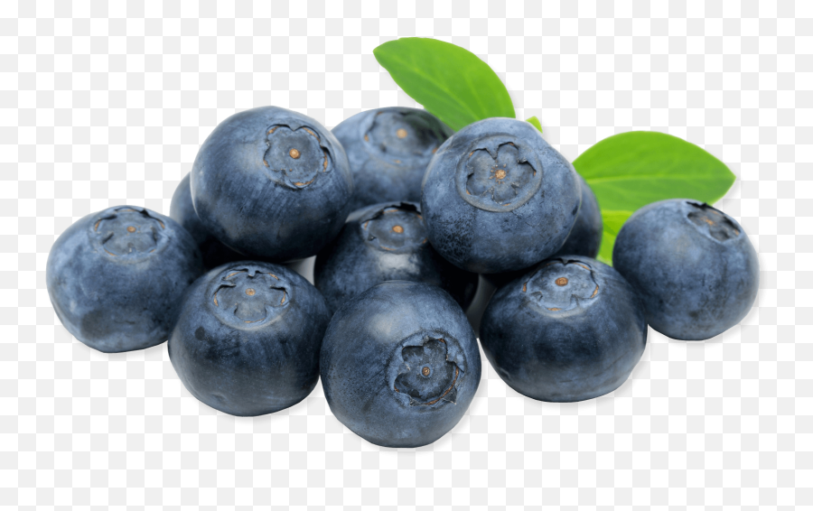 Blueberries Icon - Blueberry Fruit Emoji,Blueberry Clipart