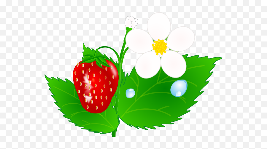 Strawberry Clipart Images - Strawberry Flower Clipart Emoji,Strawberry Clipart