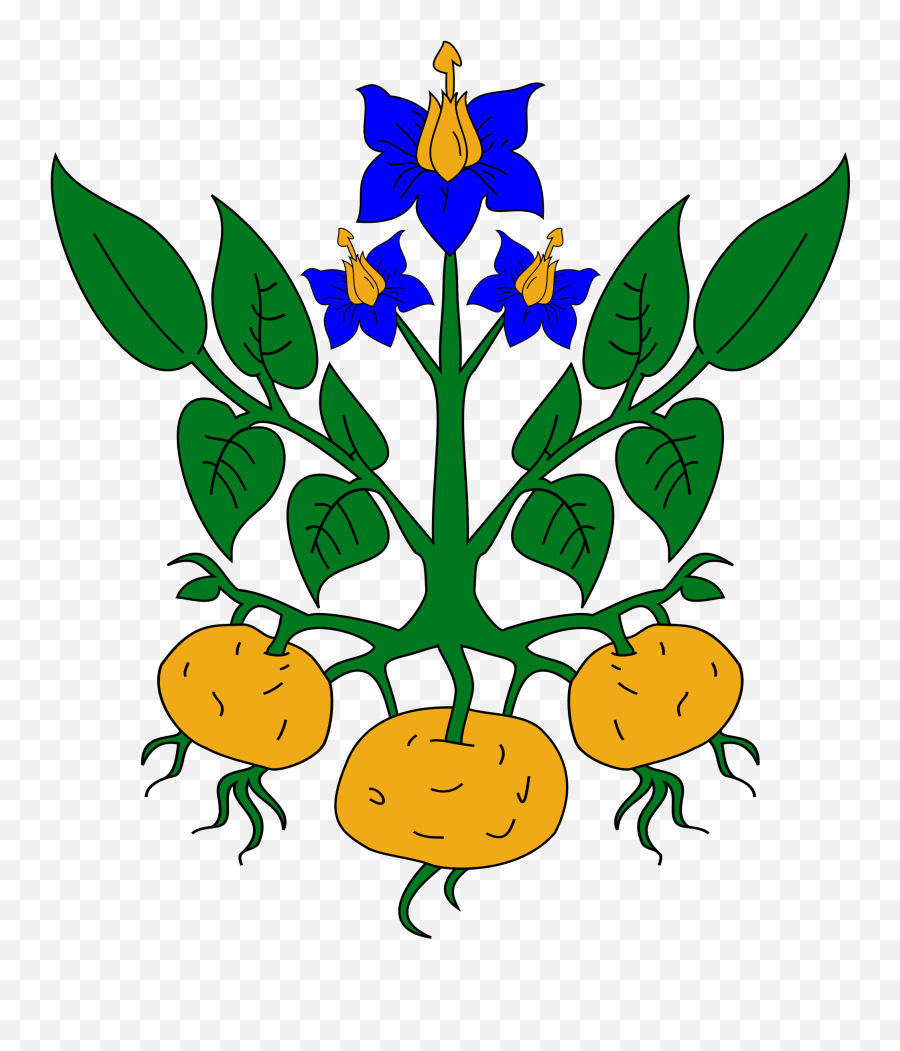 Potato Plant Clipart - Clip Art Library Potato Plant Clip Art Emoji,Plant Clipart