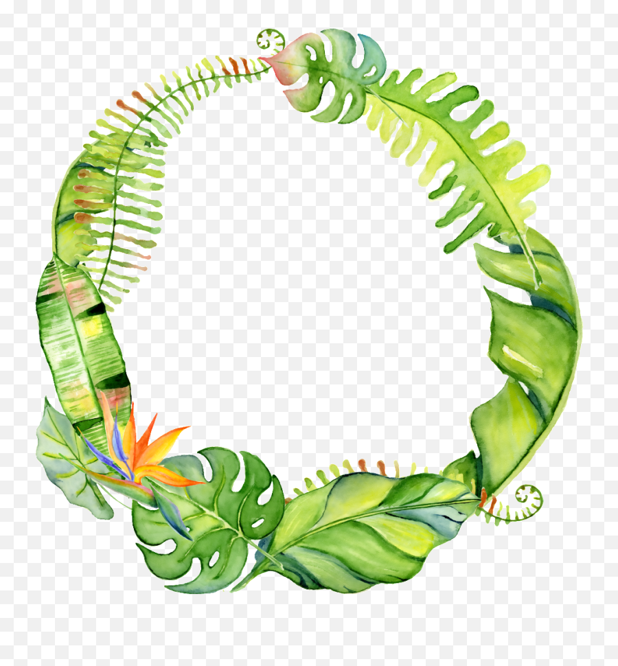 Leaves Circle Png Png Image With No - Transparent Tropical Wreath Png Emoji,Hand Drawn Circle Png