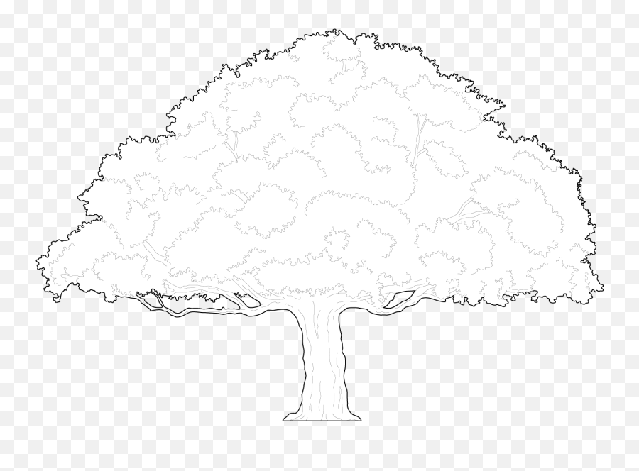 Trees Dwg Cad Blocks Free Download Pimpmydrawing - Drawing Of A Fancy Tree Emoji,Tree Outline Png