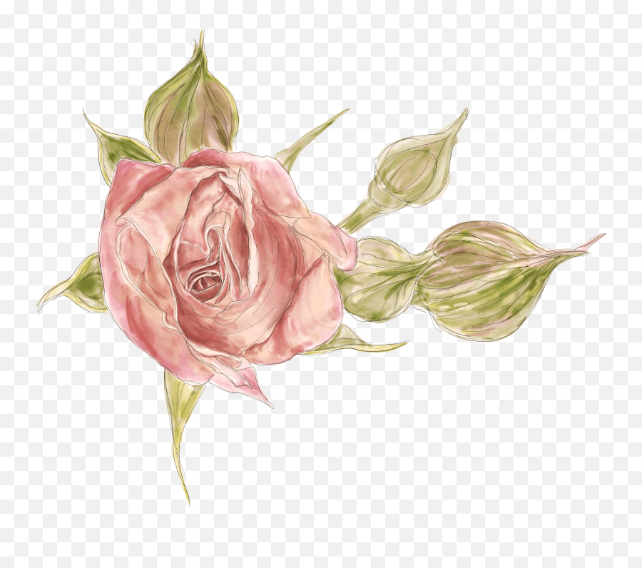 Painting Watercolour Flowers 6 Essential Tips Before Emoji,Watercolor Roses Png